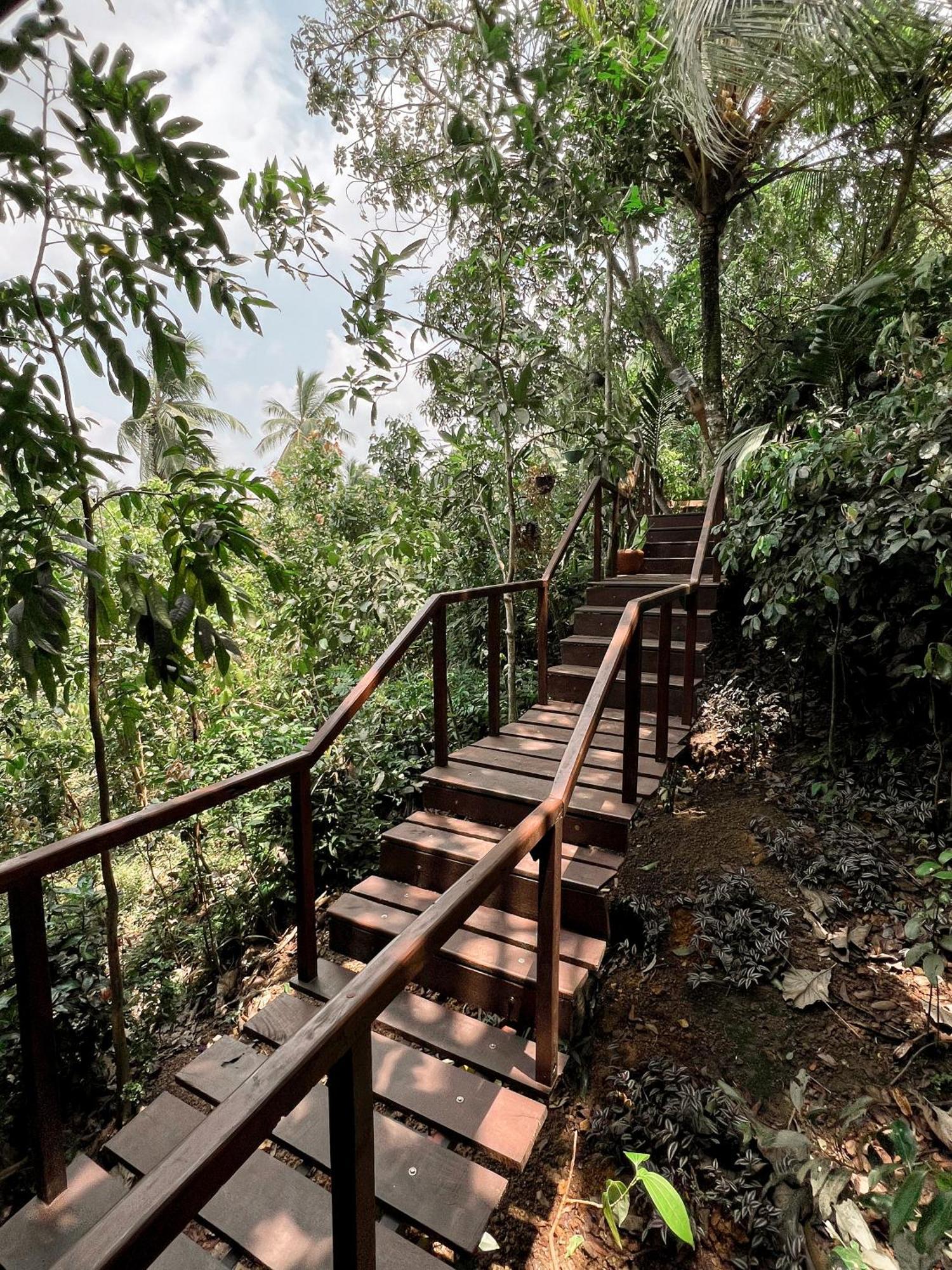 Cinnamon View Lodge Mirissa Quarto foto